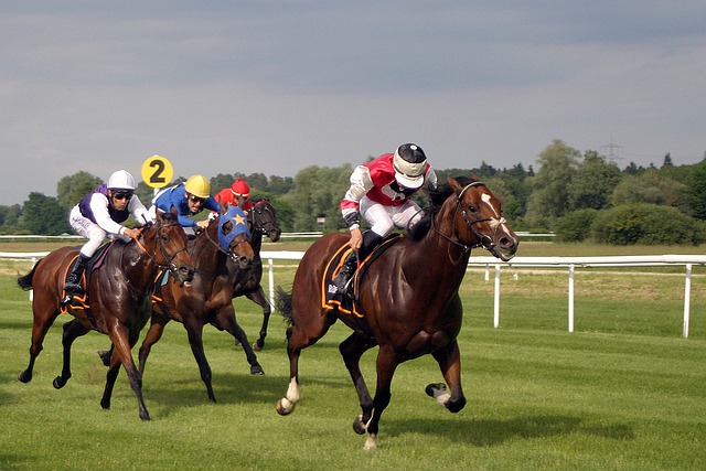 carreras de caballos