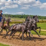 carreras de caballos