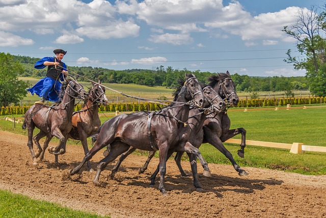 Apuestas deportivas en carreras de caballos: una guía completa